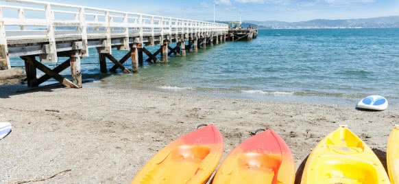 beautiful bay view in new zealand